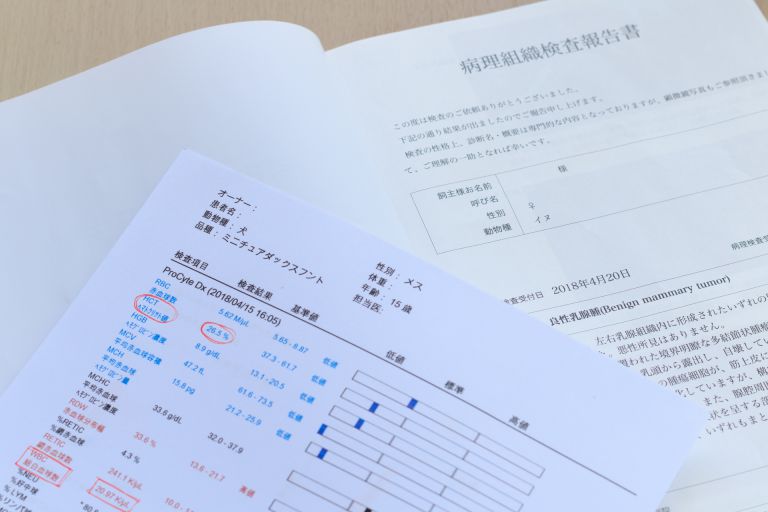 アメリカにおける多様性社会とワクチン開発普及の現状と課題を探る